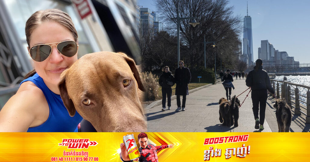 មិនធម្មតា! ស្រ្តីម្នាក់  ប្រកបរបរជាអ្នកបណ្តើរសត្វឆ្កែដើរលេងអាចរកប្រាក់ចំណូលបានជាង ១០ម៉ឺនដុល្លារក្នុងមួយឆ្នាំ