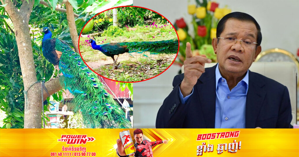 សម្តេចតេជោ ចេញបទបញ្ជាបន្ទាន់អោយសមត្ថកិច្ច ដែលចាប់យកសត្វក្ងោក យកទៅជូនម្ចាស់វិញដល់ផ្ទះនៅថ្ងៃនេះ