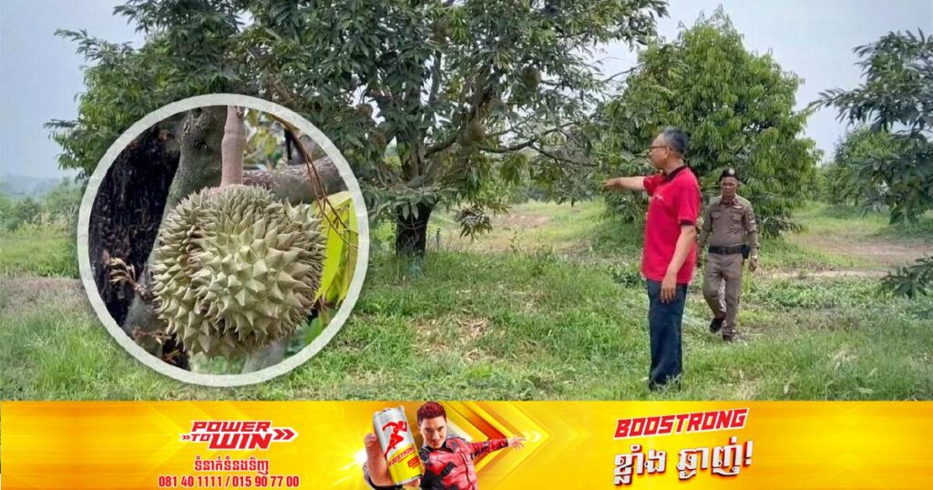 ប៉ូលិសថៃគ្រោងអនុវត្តផែនការយាមទុរេនជាលើកដំបូងក្នុងប្រវត្តិសាស្រ្តប្រទេស ក្រោយមានករណីចោរលួចបេះទុរេនមានតម្លៃសរុបជិត ៣ម៉ឺនដុល្លារពីចំការមួយកន្លែង