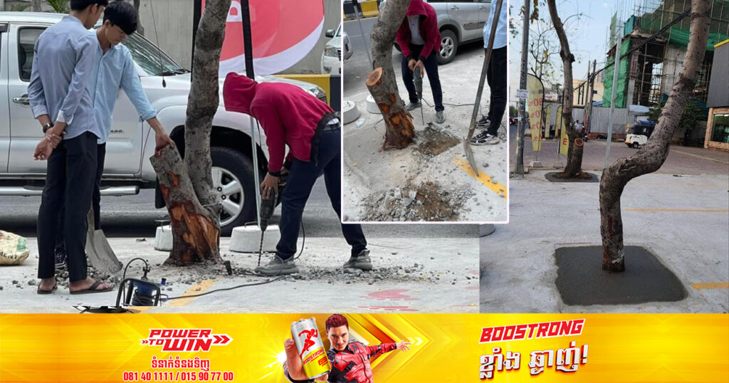 រដ្ឋបាលខណ្ឌទួលគោក ណែនាំឱ្យម្ចាស់ទីតាំង ដែលចាក់បេតុងហ៊ុមព័ទ្ធដើមឈើសាធារណៈចំនួន ៤ដើម ត្រូវរុះរើបេតុងចេញវិញ និងរៀបចំឲ្យមានសោភ័ណភាពល្អដូចដើម