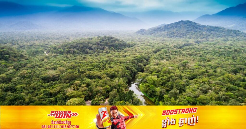 ការសិក្សាមួយបានបង្ហាញថា ព្រៃ Amazon បានជួយសន្សំសំចៃប្រាក់លើការព្យាបាលសុខភាពរបស់ពលរដ្ឋបានប្រមាណជា ២ពាន់លានដុល្លារនៅក្នុងមួយឆ្នាំ