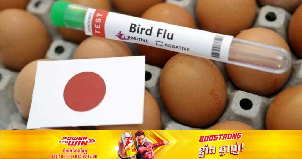 អាជ្ញាធរជប៉ុនបន្តដុតកម្ទេចសត្វមាន់ជាង ១,៥សែនក្បាលបន្ថែមទៀតដើម្បីទប់ស្កាត់ជំងឺផ្តាសាយបក្សី ខណៈតម្លៃស៊ុតមាន់នៅក្រុងតូក្យូបានកើនឡើង ៧០%បើធៀបទៅនឹងឆ្នាំមុន