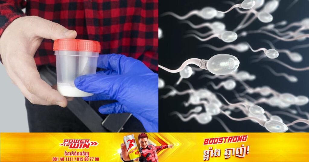 តុលាការហូឡង់បញ្ជាឲ្យបុរសម្នាក់ត្រូវបញ្ឈប់សកម្មភាពបរិច្ចាគទឹកកាមជាបន្ទាន់ ក្រោយរូបគាត់បានក្លាយជាឪពុករបស់ក្មេងជាង ៥៥០នាក់រួចទៅហើយ