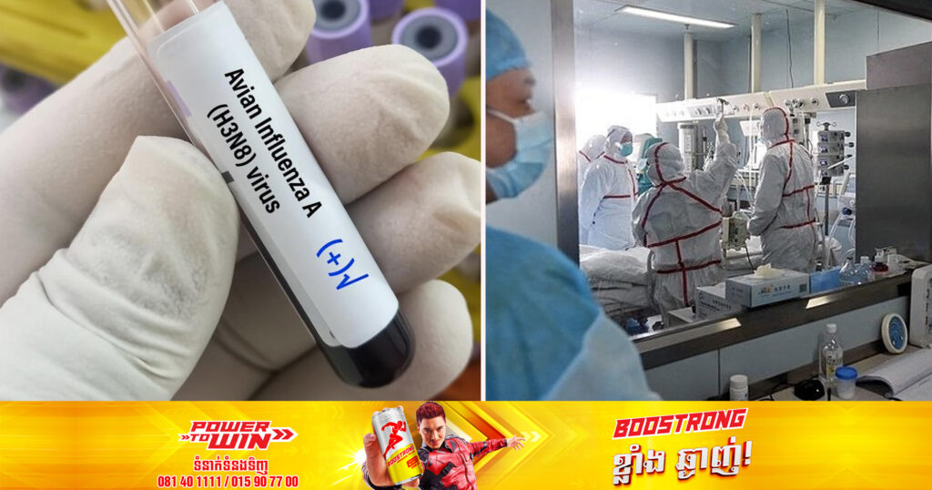 WHO បានបញ្ជាក់ពីករណីមរណភាពដោយសារជំងឺផ្តាសាយបក្សី H3N8 ជាលើកដំបូងបំផុតនៅក្នុងប្រទេសចិន