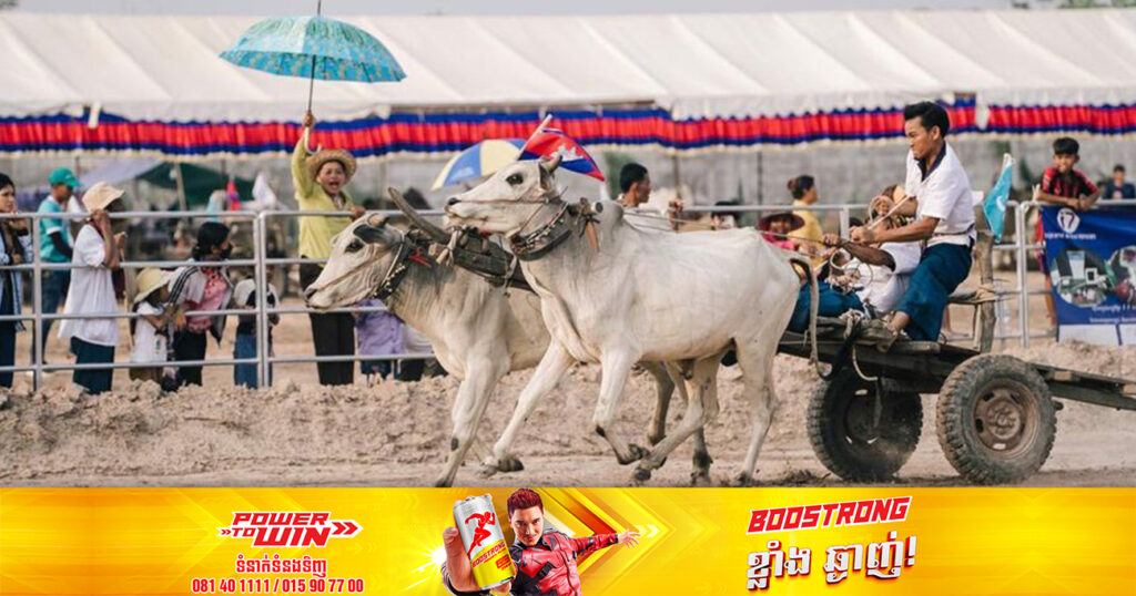 កម្មវិធីប្រណាំងរទេះគោ និងក្របី ក្នុងបរិវេណអង្គរឃ្យុងយូ បានស្រូបទាញចំណាប់អារម្មណ៍ប្រជាពលរដ្ឋរាប់រយនាក់ឱ្យមកទស្សនា