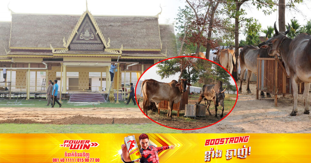 អភិបាលខេត្តកំពង់ធំ ត្រៀមប្រារព្ធពិធីច្រត់ព្រះនង្គ័ល ដែលប្រព្រឹត្តទៅនៅថ្ងៃទី៨ ខែឧសភាខាងមុខនេះ