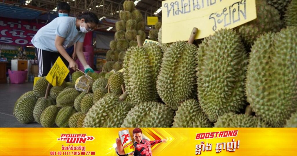 អាជ្ញាធរថៃណែនាំឲ្យពលរដ្ឋខ្លួនត្រូវពង្រឹងលើគុណភាពទុរេន ក្រោយពិបាកប្រជែងជាមួយទុរេនហ្វីលីពីននិងវៀតណាមនៅទីផ្សារក្នុងប្រទេសចិន