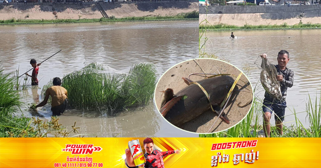 ពលរដ្ឋជាច្រើននាក់ ទៅចាប់ត្រីនៅក្នុងស្ទឹងព្រែកត្នោត ខណៈត្រីនៅក្នុងស្ទឹងកំពុងពុលទឹក សង្ស័យបណ្តាលមកពីការបង្ហូរកាកសំណល់ពីរោងចក្រ