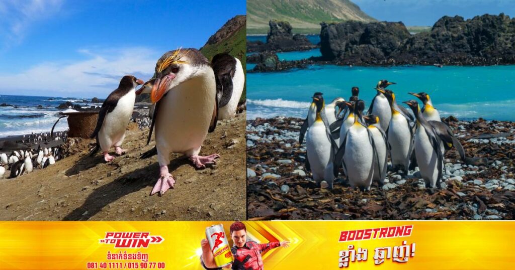 អូស្រ្តាលីគ្រោងបង្កើតឧទ្យានសមុទ្រមួយដែលមានទំហំធំប៉ុនប្រទេសអេស្ប៉ាញ