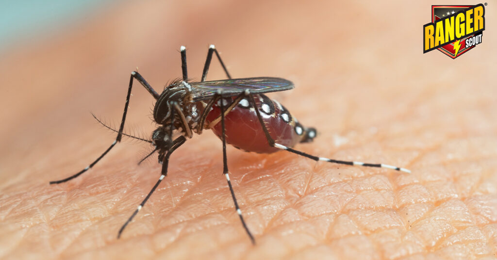 វិធានការការពារជំងឺគ្រុនឈាម និងជំងឺគ្រុនឈីក ពីថ្នាំបាញ់មូស រ៉េងជឺ!