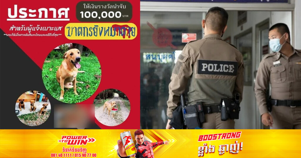 បុរសជនជាតិថៃម្នាក់ប្រកាសផ្ដល់រង្វាន់ជិត ៣,០០០ ដុល្លារ ដល់អ្នកដែលអាចចាប់ជនល្មើសធ្វើឃាតឆ្កែរបស់គាត់បាន