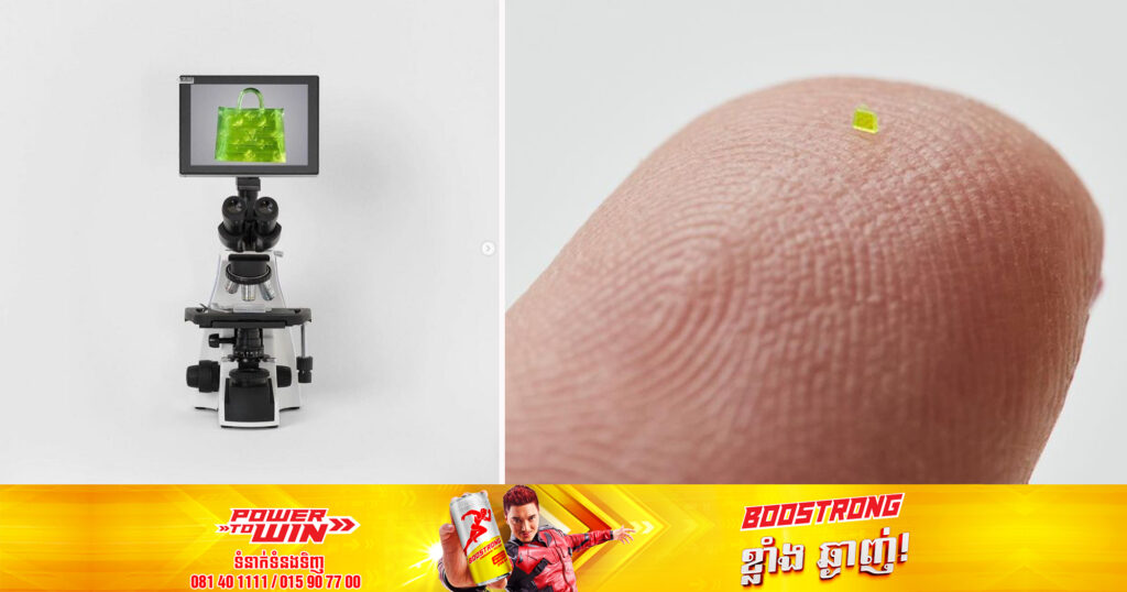 កាបូបមើលស្ទើរតែមិនឃើញនឹងភ្នែកមួយនេះ ត្រូវបានគេលក់ចេញនៅក្នុងតម្លៃ ៦៣,៧៥០ ដុល្លារអាមេរិក