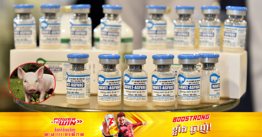 វៀតណាមបានអនុម័តវ៉ាក់សាំងការពារជំងឺប៉េស្តជ្រូក (ASF) ជាលើកដំបូងបំផុតរបស់ពិភពលោក