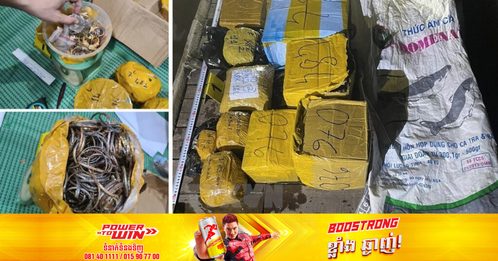 អាជ្ញាធរវៀតណាមបាន​រឹបអូស​មាសចំនួន ​១៩​គីឡូក្រាម ​ដែល​រត់ពន្ធ​ពី​កម្ពុជា​ទៅ​វៀតណាម​