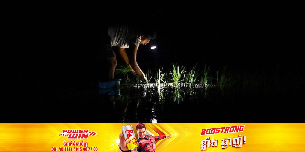 កសិករវៀតណាមងាកទៅធ្វើស្រែនៅពេលមេឃងងឹតវិញម្តង ដើម្បីអាចគេចផុតពីរលកកម្តៅដ៏ខ្ពស់នៅពេលថ្ងៃ