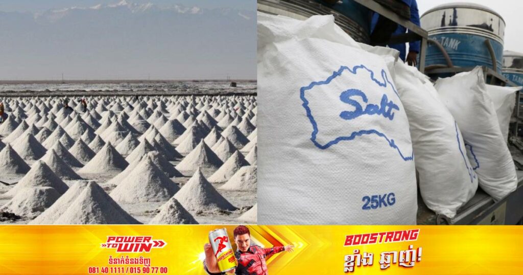 ក្រុមហ៊ុនចិនចេញមកបញ្ជាក់ពីសមត្ថភាពផ្គត់ផ្គង់អំបិលក្នុងទីផ្សារ ក្រោយពលរដ្ឋចិនផ្អើលទៅទិញអំបិលមកស្តុកទុកព្រោះបារម្ភពីគ្រោះថ្នាក់នៃទឹកវិទ្យុសកម្មដែលជប៉ុនបង្ហូរចូលទៅក្នុងសមុទ្រ