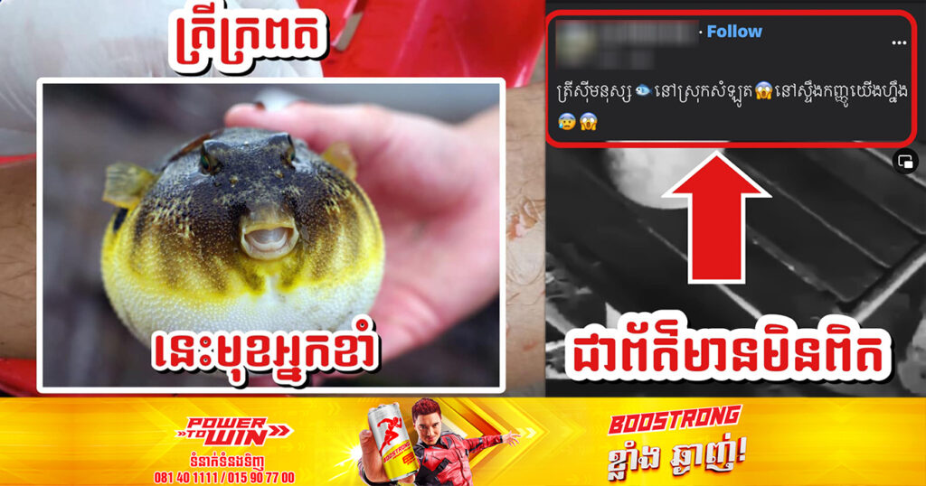 ស្នងការខេត្តបាត់ដំបង បំភ្លឺករណីផ្អើលថាមានត្រីស៊ីសាច់មនុស្សខាំបុរសម្នាក់ បណ្ដាលឱ្យរបួសជើង នៅស្ទឹងក្រញូង ស្រុកសំឡូត គឺជារឿងមិនពិត