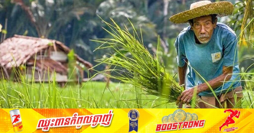 ហ្វីលីពីននឹងផ្តល់ប្រាក់ជំនួយជិត ៧៣០លានដុល្លារទៅកាន់ក្រុមកសិករដែលបានរងផលប៉ះពាល់ពីបាតុភូតអាកាសធាតុ El Nino