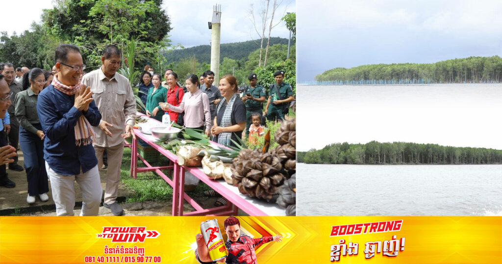 រដ្ឋមន្រ្តីក្រសួងបរិស្ថាន ជំរុញឲ្យប្រជាសហគមន៍ ដាំដើមឈើដើម្បីបង្កើនប្រាក់ចំណូល