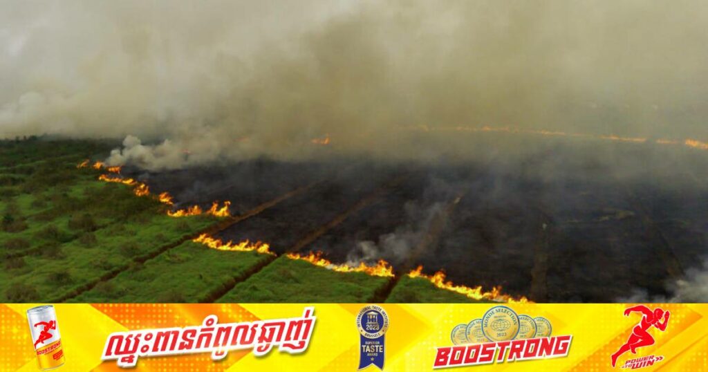 ឥណ្ឌូនេស៊ី សម្រេចបិទសាលារៀននៅក្នុងទីក្រុងចាមប៊ី ជាបណ្តោះអាសន្នដោយសារបញ្ហាមានផ្សែងកខ្វក់នៅក្នុងបរិយាកាស