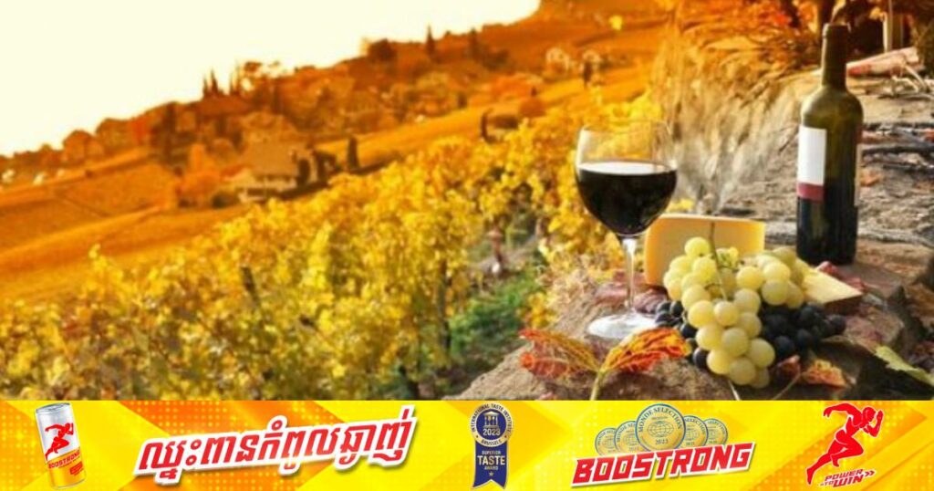 ទិន្នផលស្រាទំពាំងបាយជូរមានការធ្លាក់យ៉ាងខ្លាំងមិនធ្លាប់មានក្នុងរយៈពេលជាង ៦០ឆ្នាំចុងក្រោយនេះ