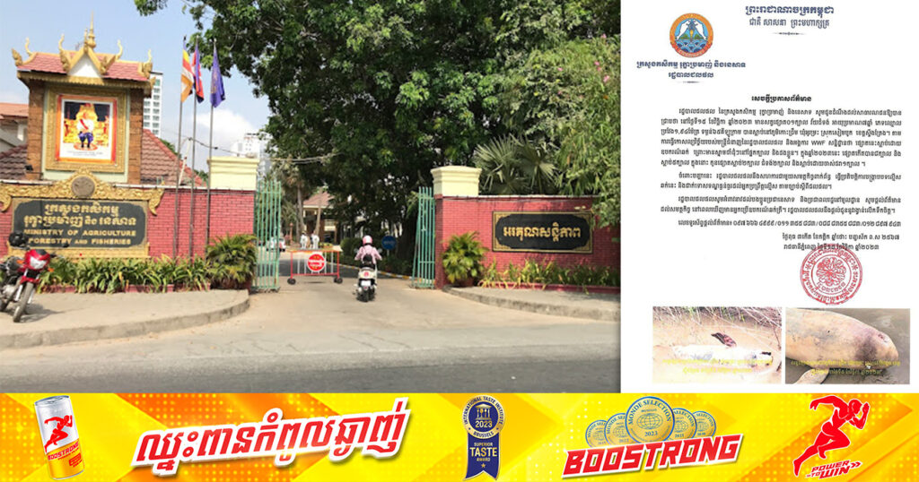 សោកស្ដាយ! សត្វផ្សោតមួយក្បាលវ័យ ៧ឆ្នាំ ប្រវែងជិត ២ម៉ែត្រ បានបាត់បង់ជីវិត ដោយសារឧបករណ៍ឆក់ នៅស្រុកសៀមបូក ខេត្តស្ទឹងត្រែង