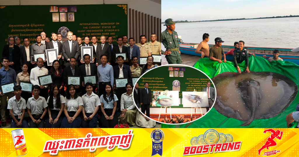 ក្រសួងកសិកម្មផ្សព្វផ្សាយពីស្ថានភាពត្រីបបែលយក្សទឹកសាបក្នុងតំបន់ទន្លេមេគង្គកម្ពុជាហើយទទួលបានវិញ្ញាបនបត្រកំណត់ត្រាពិភព លោក ស្ដីពីត្រីទឹកសាបធំបំផុត