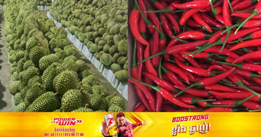 ជប៉ុនកម្ទេចទុរេននិងម្ទេសវៀតណាមជាង ៥តោនក្រោយរកឃើញមានផ្ទុកសារធាតុគីមីច្រើនលើសកម្រិត