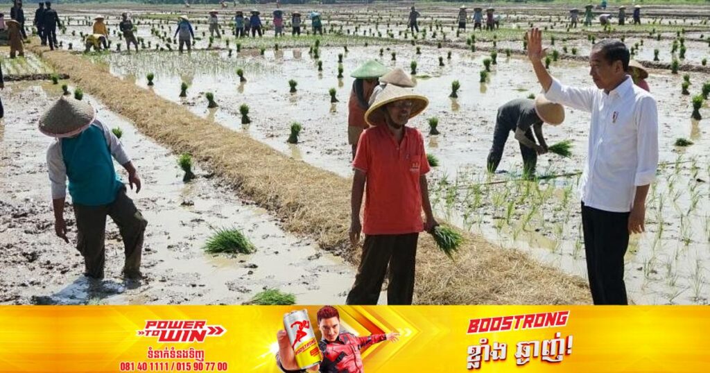 ប្រធានាធិបតីឥណ្ឌូនេស៊ីស្នើឱ្យក្រុមយោធាចុះជួយកសិករក្នុងការប្រមូលទិន្នផលស្រូវ 