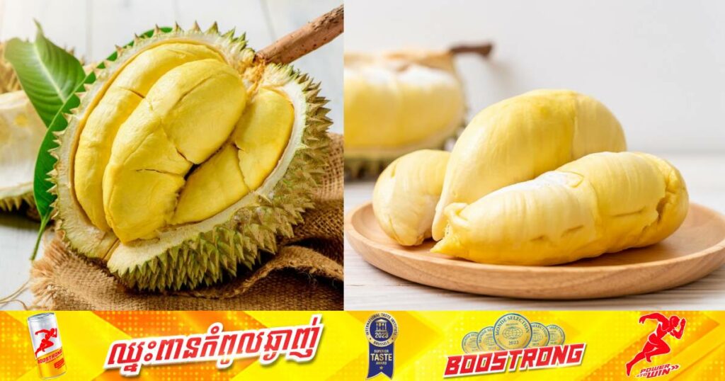 ទុរេនប្រភេទ Musang King មួយផ្លែត្រូវបានលក់ចេញក្នុងតម្លៃជិត ៤ពាន់ដុល្លារ