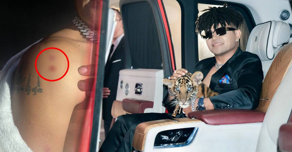 ឧកញ៉ា ខេមរៈ សិរីមន្ត ត្រូវសត្វខ្លាខាំពេលកំពុងថត MV បទដ៏ពេញនិយម «CALL ME PAPA»