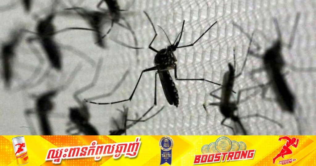 ប្រេស៊ីលចាប់ផ្តើមចាក់វ៉ាក់សាំងបង្ការជំងឺគ្រុនឈាមទ្រង់ទ្រាយធំជូនពលរដ្ឋខ្លួនជាលើកដំបូង