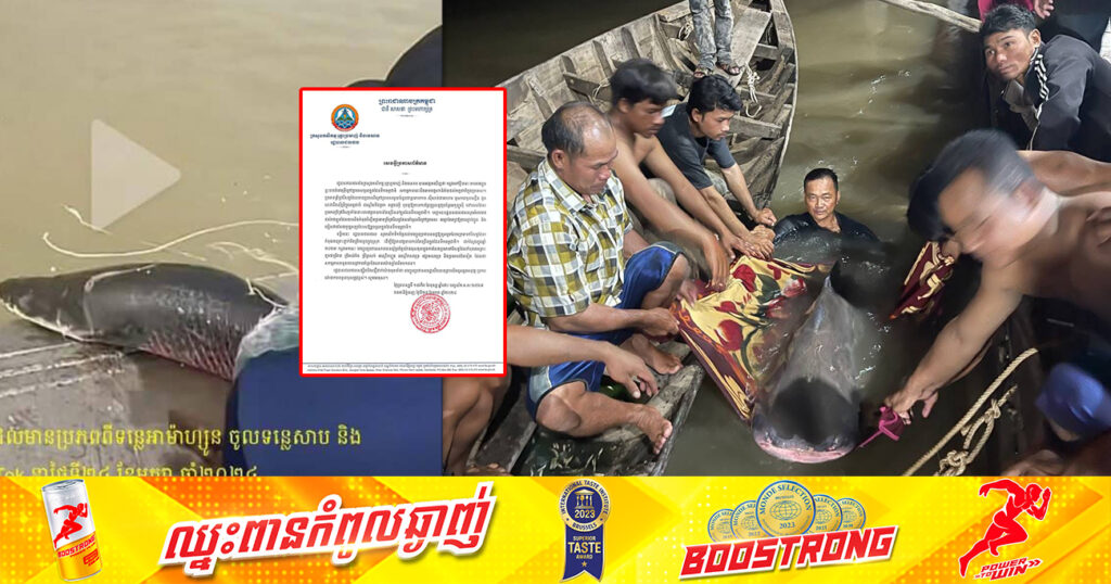 រដ្ឋបាលជលផល ហាមឃាត់ការលែងប្រភេទត្រីមានប្រភពពីក្រៅប្រទេស ចូលក្នុងដែនទឹកធម្មជាតិ ព្រោះអាចបង្កហានិភ័យដល់មច្ឆជាតិ