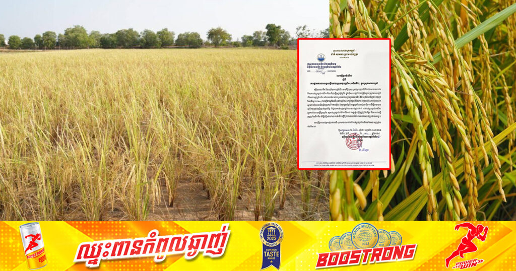 ចាប់ពីខែមករា ដល់បំណាច់ខែមេសា មន្ទីរធនធានទឹកខេត្តប៉ៃលិន អំពាវនាវឱ្យប្រជាកសិករ ផ្អាកធ្វើស្រូវរដូវប្រាំងសិន ដោយសារបាតុភូតអែលនីណូ នឹងបន្តកើនកម្ដៅផែនដី ដែលធ្វើឱ្យខ្វះប្រភពទឹក