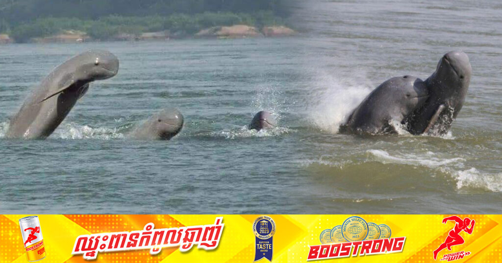 ផ្សោតកើតថ្មីចំនួន ០៦ បន្ថែមទៀត ក្នុងឆ្នាំ២០២៣ ជាផ្នែកមួយក្នុងការបង្កើនប្រាក់ចំណូលដល់ប្រជាសហគមន៍ តាមរយៈវិស័យទេចរណ៍ សម្រាប់ឆ្នាំថ្មី