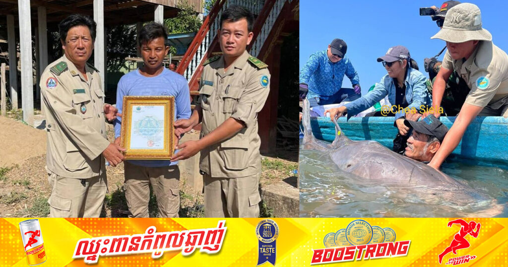 រដ្ឋបាលជលផលត្បូងឃ្មុំ កោតសរសើរអ្នកនេសាទម្នាក់ ដែលជូនស្តេចត្រីឈ្មោះ«នារីរ័ត្នត្បូងឃ្មុំ» ទម្ងន់ ១៦៣គីឡូក្រាម លែងចូលក្នុងទន្លេមេគង្គវិញ
