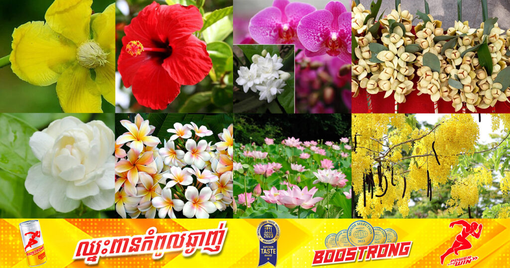 មកស្គាល់ពីផ្កាតំណាងជាតិអាស៊ានទាំង ១០ប្រទេស ជាមួយនឹងអត្ថន័យរបស់ផ្កានីមួយៗ