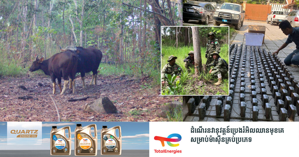 ក្រសួងបរិស្ថាន គ្រោងនឹងបំពាក់កាំមេរ៉ាបន្ថែម នៅតំបន់ជួរភ្នំក្រវាញ ដើម្បីតាមដានវត្តមានសត្វព្រៃ និងមើលចំណីរបស់សត្វខ្លាធំ