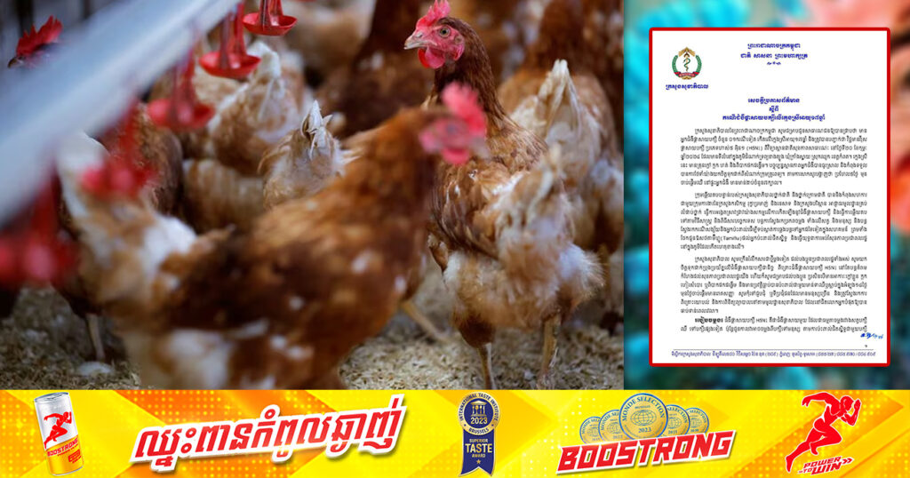 ក្រសួងសុខាភិបាល ប្រកាសរកឃើញករណីជំងឺផ្តាសាយបក្សីប្រភេទ«H5N1» លើក្មេងស្រីម្នាក់ នៅស្រុកឈូក ខេត្តកំពត