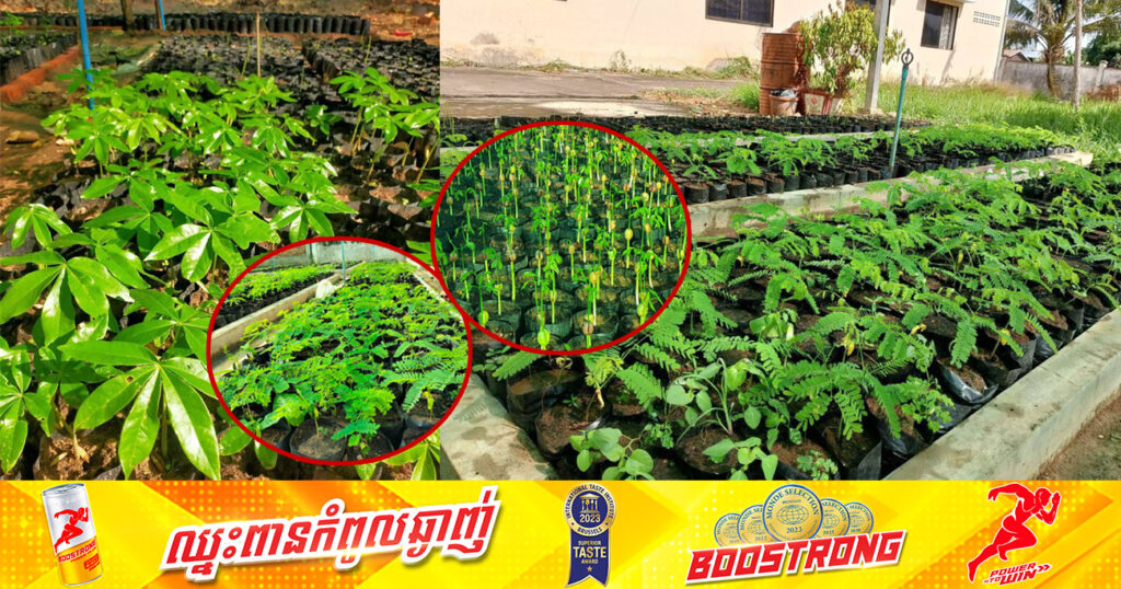 យុទ្ធនាការចែកជូនពលរដ្ឋដាំកូនឈើដោយឥតគិតថ្លៃចំនួន ១លានដើម នៅក្នុងឆ្នាំ២០២៤នឹងទទួលបានជោគជ័យ