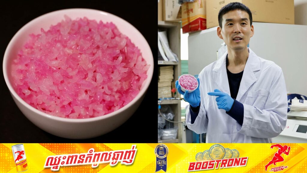 អ្នកវិទ្យាសាស្រ្តកូរ៉េខាងត្បូងចាត់ទុកថា “អង្ករសាច់គោ” ឬ “beef rice” មានប្រូតេអ៊ីនខ្ពស់ជាងអង្ករធម្មតា​ នឹងក្លាយជាអាហារយ៉ាងសំខាន់សម្រាប់មនុស្សនៅពេលអនាគត