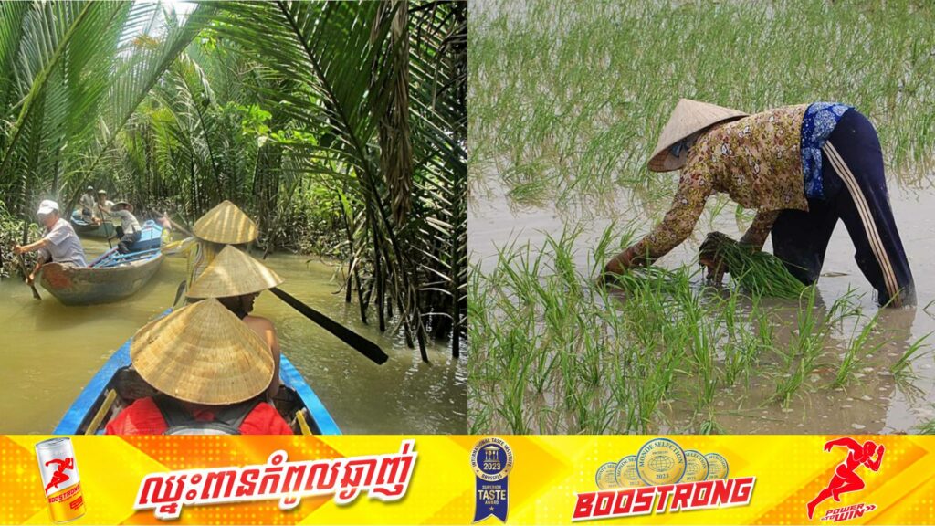 ការសិក្សា៖ វៀតណាមប្រឈមនឹងការបាត់បង់ផលដំណាំជិត ៣ពាន់លានដុល្លារក្នុងមួយឆ្នាំដោយសារទឹកប្រៃបន្តហូរចូលក្នុងតំបន់ដីសណ្តមេគង្គកាន់តែច្រើន