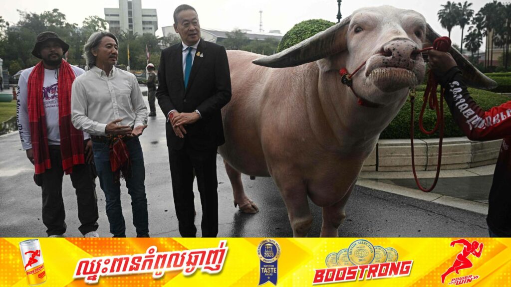 លោកនាយករដ្ឋមន្ត្រីថៃបង្ហាញវត្តមានជាមួយក្របីភឿកមួយក្បាលតម្លៃ ៥០០,០០០ដុល្លារនៅវិមានរដ្ឋាភិបាល ដែលវាជាផ្នែកមួយនៃការជំរុញ “ថាមពលទន់”