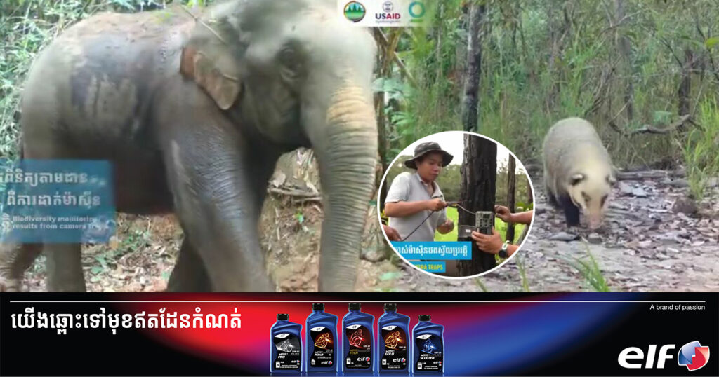 USAID មរតកបៃតង ដាក់ពង្រាយម៉ាស៊ីនថតស្វ័យប្រវត្តិជាង ២០០កន្លែង ដើម្បីកត់ត្រាប្រភេទសត្វព្រៃផ្សេងៗ និង ការពារតំបន់ជួរភ្នំក្រវាញ