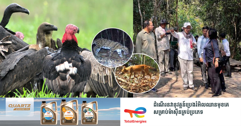 ទិវាសត្វព្រៃពិភពលោក៖ កម្ពុជាបាននិងកំពុងពង្រឹងការគ្រប់គ្រងធនធានធម្មជាតិ និងអភិរក្សសត្វព្រៃកម្រ