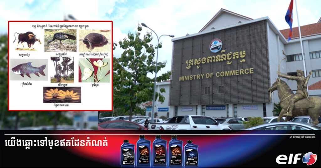 គោព្រៃ ត្រយ៉ង អណ្ដើកហ្លួង ត្រីគល់រាំង ដើមត្នោត ផ្ការំដួល និងផ្លែចេកពងមាន់ ដែលជានិមិត្តរូបនៃប្រទេសកម្ពុជា ត្រូវបានហាមឃាត់មិនឱ្យប្រើប្រាស់សម្រាប់ម៉ាកយីហោ