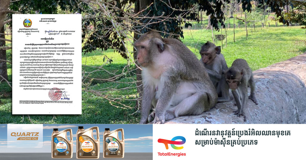 មន្ទីរកសិកម្មរុក្ខាប្រមាញ់ខេត្តសៀមរាប នឹងស៊ើបអង្កេតលើជនខិលខូចមួយក្រុម ដែលយាយីធ្វើឱ្យសត្វស្វារបួស នៅតំបន់រមណីយដ្ឋានអង្គរ