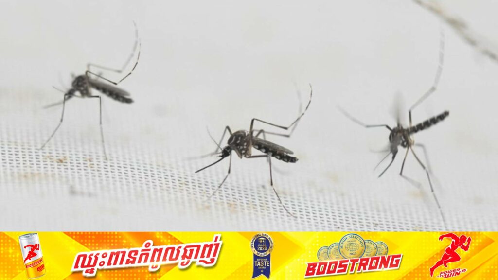 សិង្ហបុរីរកឃើញអ្នកកើតជំងឺគ្រុនឈាមជាង ៥,០០០ករណីនិងបាត់បង់ជីវិត ៧ករណីក្នុងរយៈពេល៣ខែដំបូងនៃឆ្នាំ២០២៤