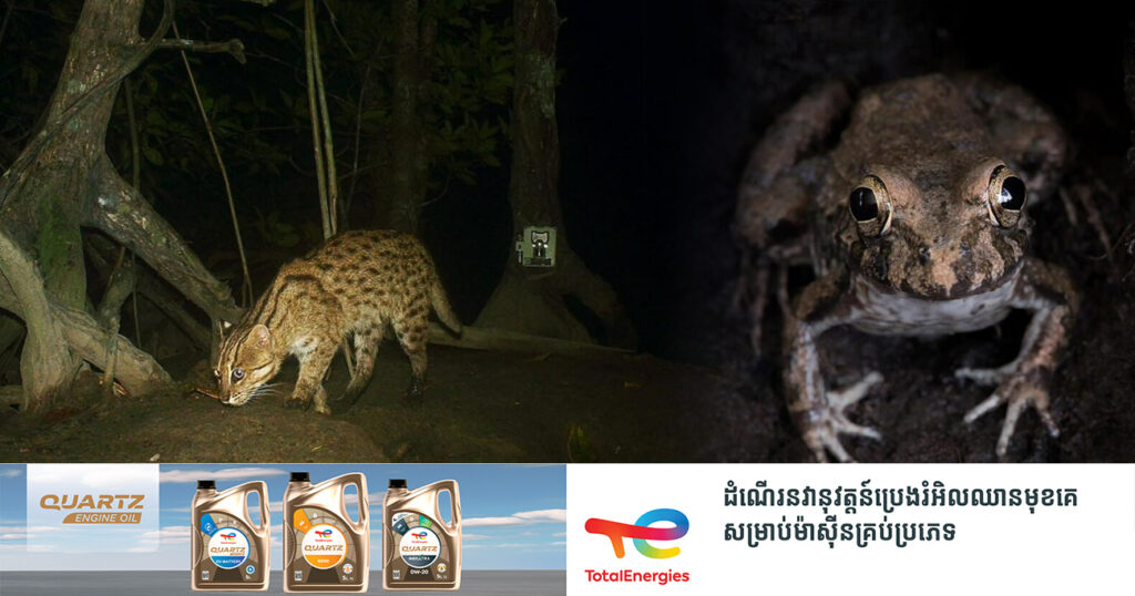 ការស្រាវជ្រាវថ្មីបានរកឃើញវត្តមានសត្វជាង ៧០០ប្រភេទខុសគ្នា រស់នៅក្នុងតំបន់ព្រៃកោងកាង នៃប្រទេសកម្ពុជា