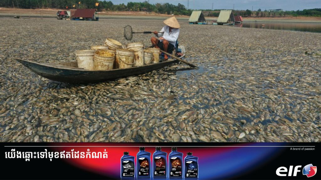 បញ្ហារលកកម្តៅបានបណ្តាលឱ្យត្រីរាប់សែនក្បាលបាត់បង់ជីវិតនៅក្នុងប្រទេសវៀតណាម